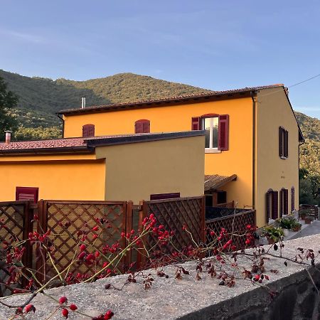 B&B La Fucinaia Pet Friendly Adults Only Campiglia Marittima Zewnętrze zdjęcie