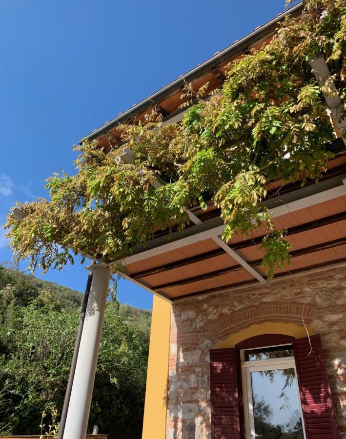 B&B La Fucinaia Pet Friendly Adults Only Campiglia Marittima Zewnętrze zdjęcie