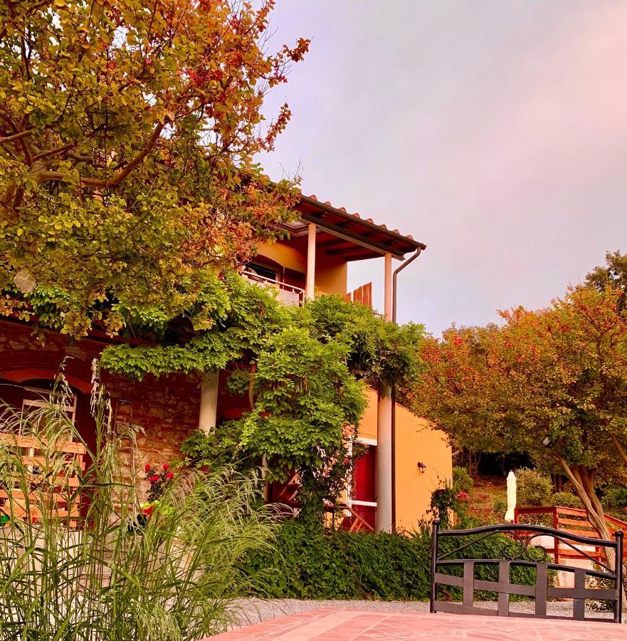 B&B La Fucinaia Pet Friendly Adults Only Campiglia Marittima Zewnętrze zdjęcie