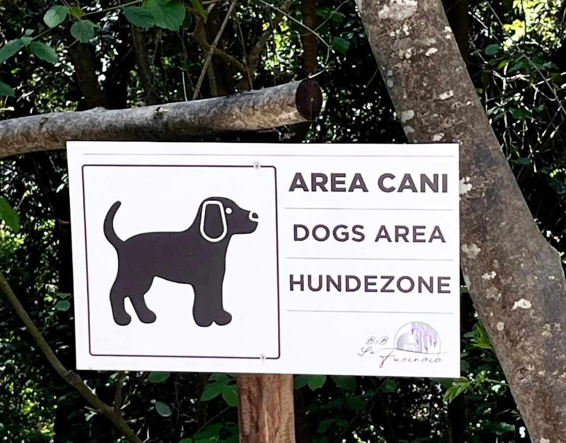 B&B La Fucinaia Pet Friendly Adults Only Campiglia Marittima Zewnętrze zdjęcie
