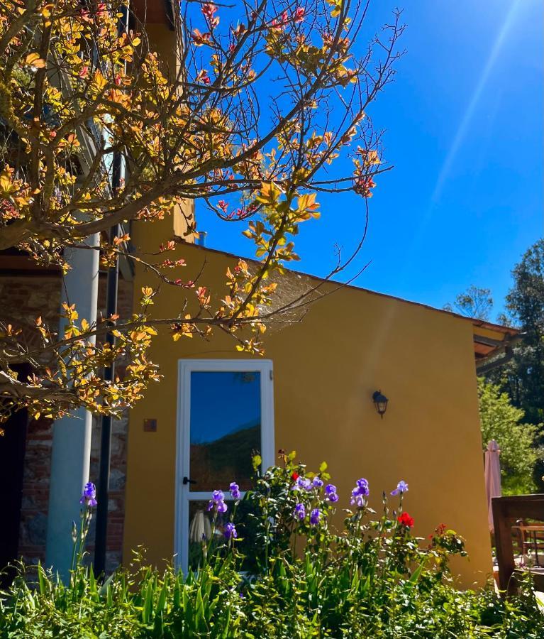 B&B La Fucinaia Pet Friendly Adults Only Campiglia Marittima Zewnętrze zdjęcie