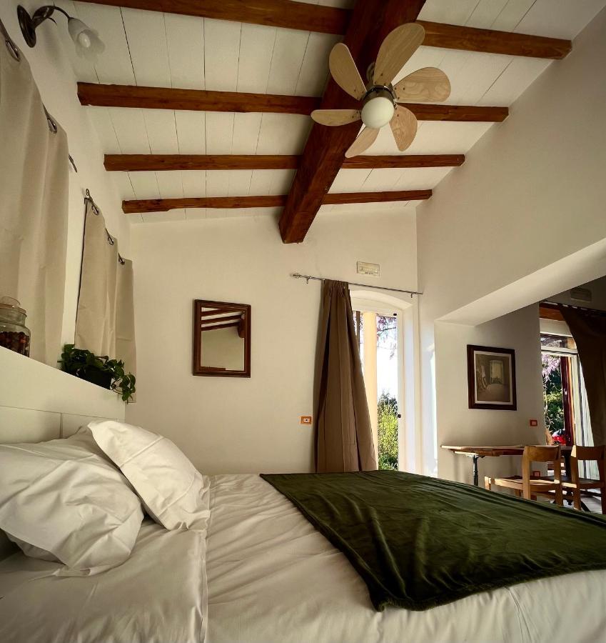B&B La Fucinaia Pet Friendly Adults Only Campiglia Marittima Zewnętrze zdjęcie