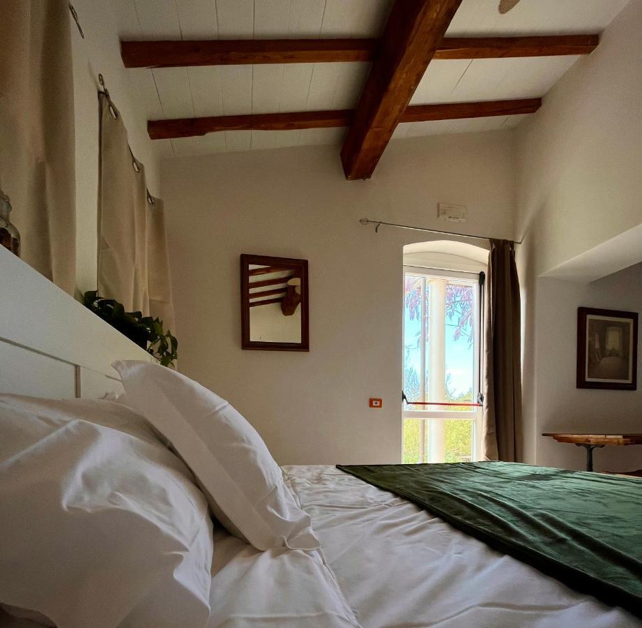 B&B La Fucinaia Pet Friendly Adults Only Campiglia Marittima Zewnętrze zdjęcie