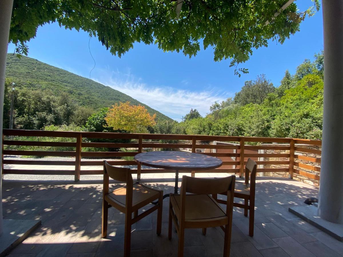 B&B La Fucinaia Pet Friendly Adults Only Campiglia Marittima Zewnętrze zdjęcie