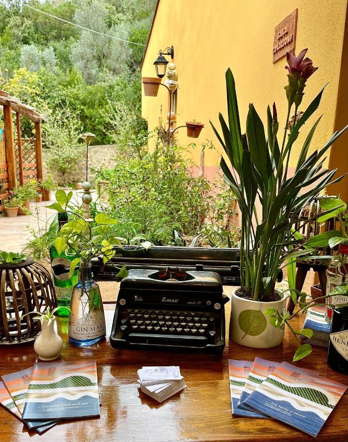 B&B La Fucinaia Pet Friendly Adults Only Campiglia Marittima Zewnętrze zdjęcie