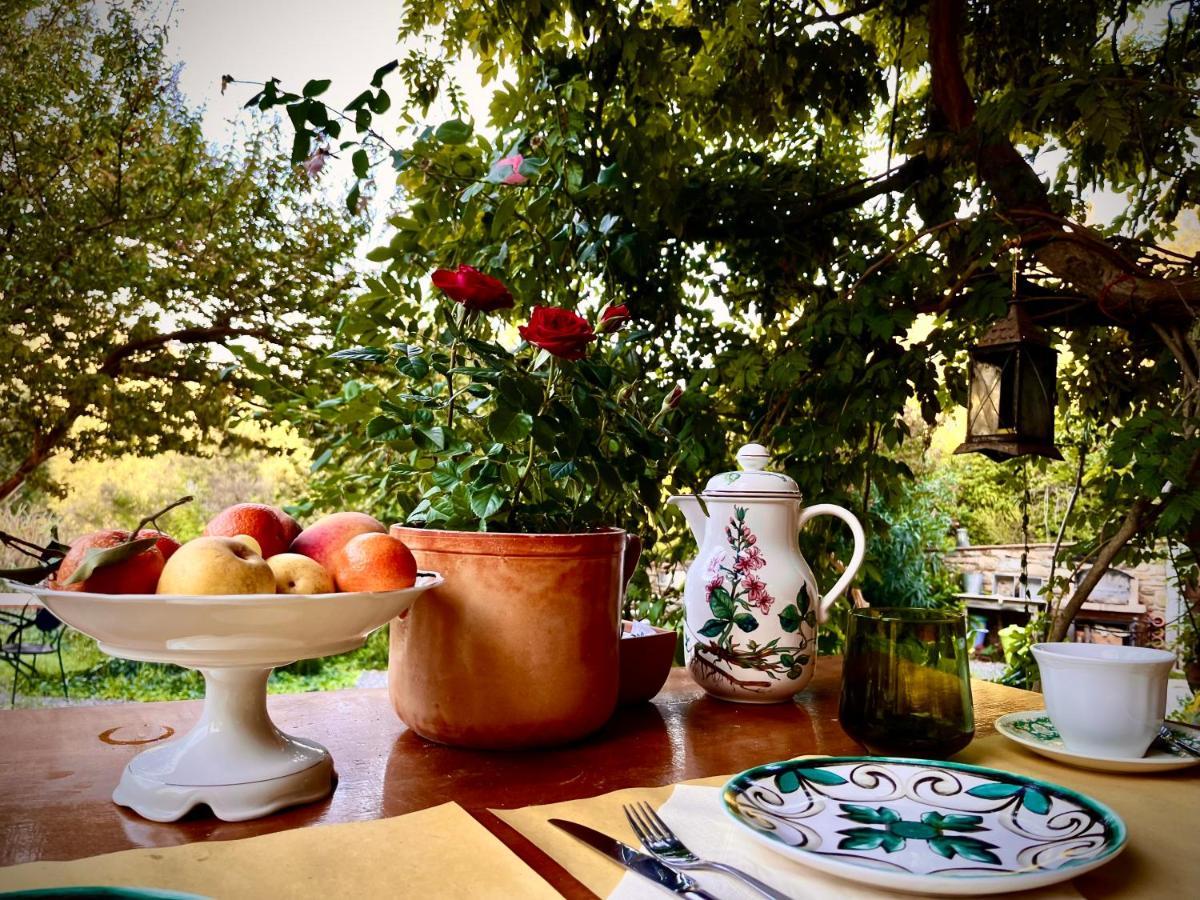 B&B La Fucinaia Pet Friendly Adults Only Campiglia Marittima Zewnętrze zdjęcie
