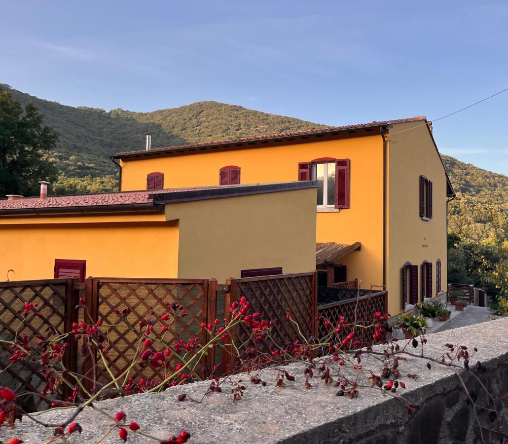 B&B La Fucinaia Pet Friendly Adults Only Campiglia Marittima Zewnętrze zdjęcie