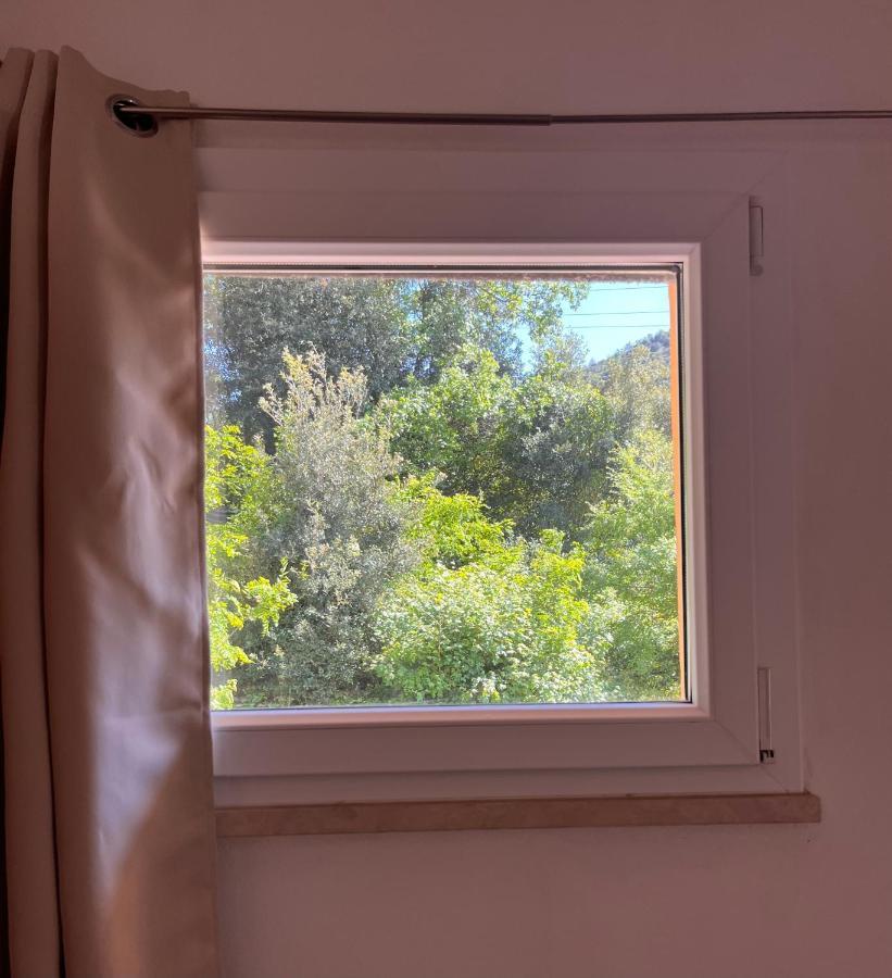 B&B La Fucinaia Pet Friendly Adults Only Campiglia Marittima Zewnętrze zdjęcie