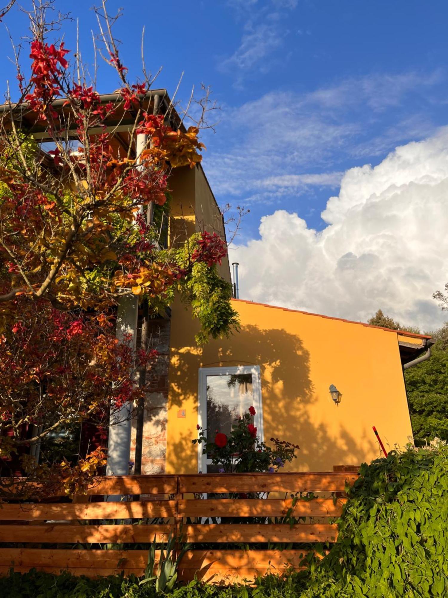 B&B La Fucinaia Pet Friendly Adults Only Campiglia Marittima Zewnętrze zdjęcie