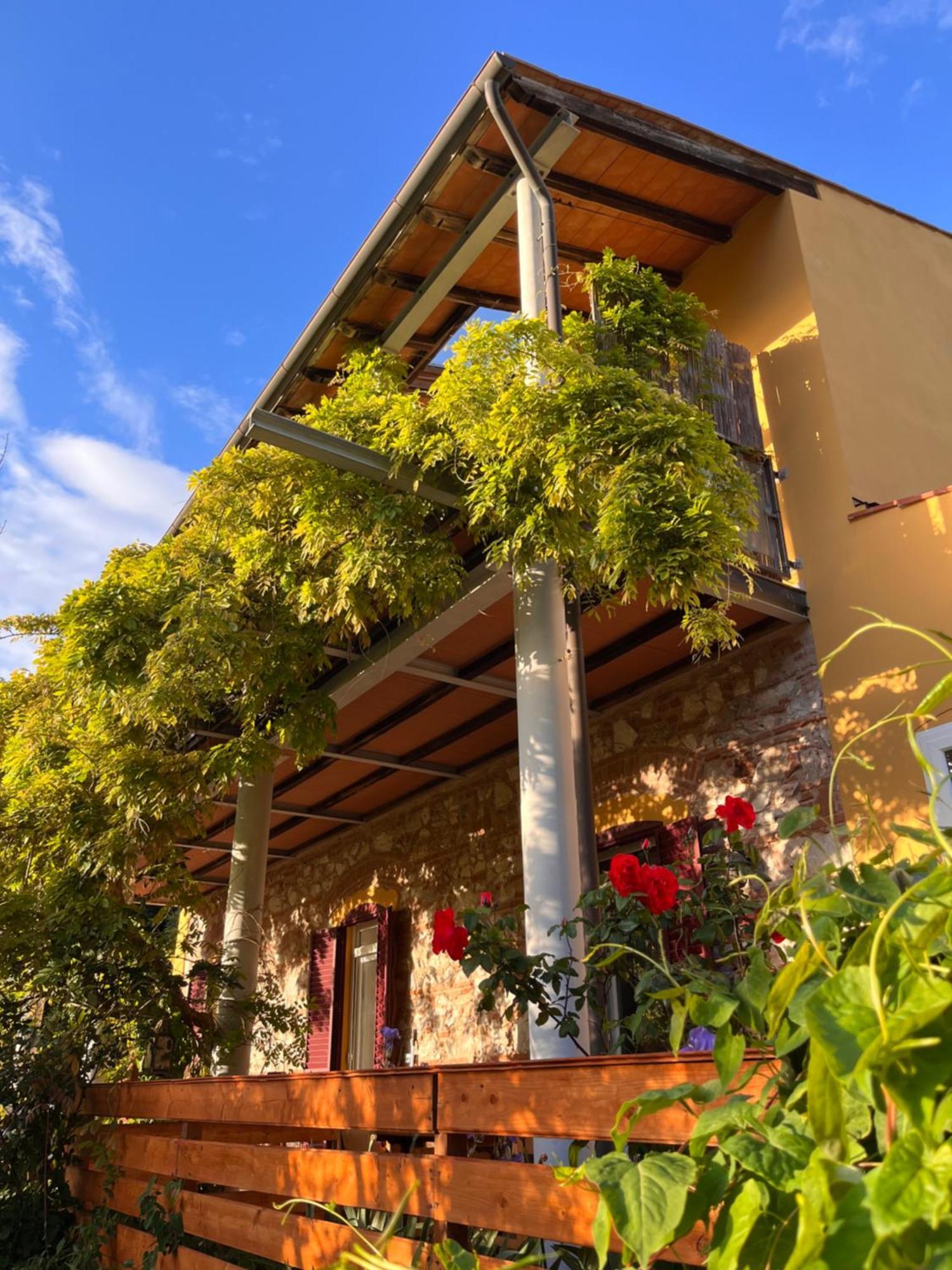 B&B La Fucinaia Pet Friendly Adults Only Campiglia Marittima Zewnętrze zdjęcie