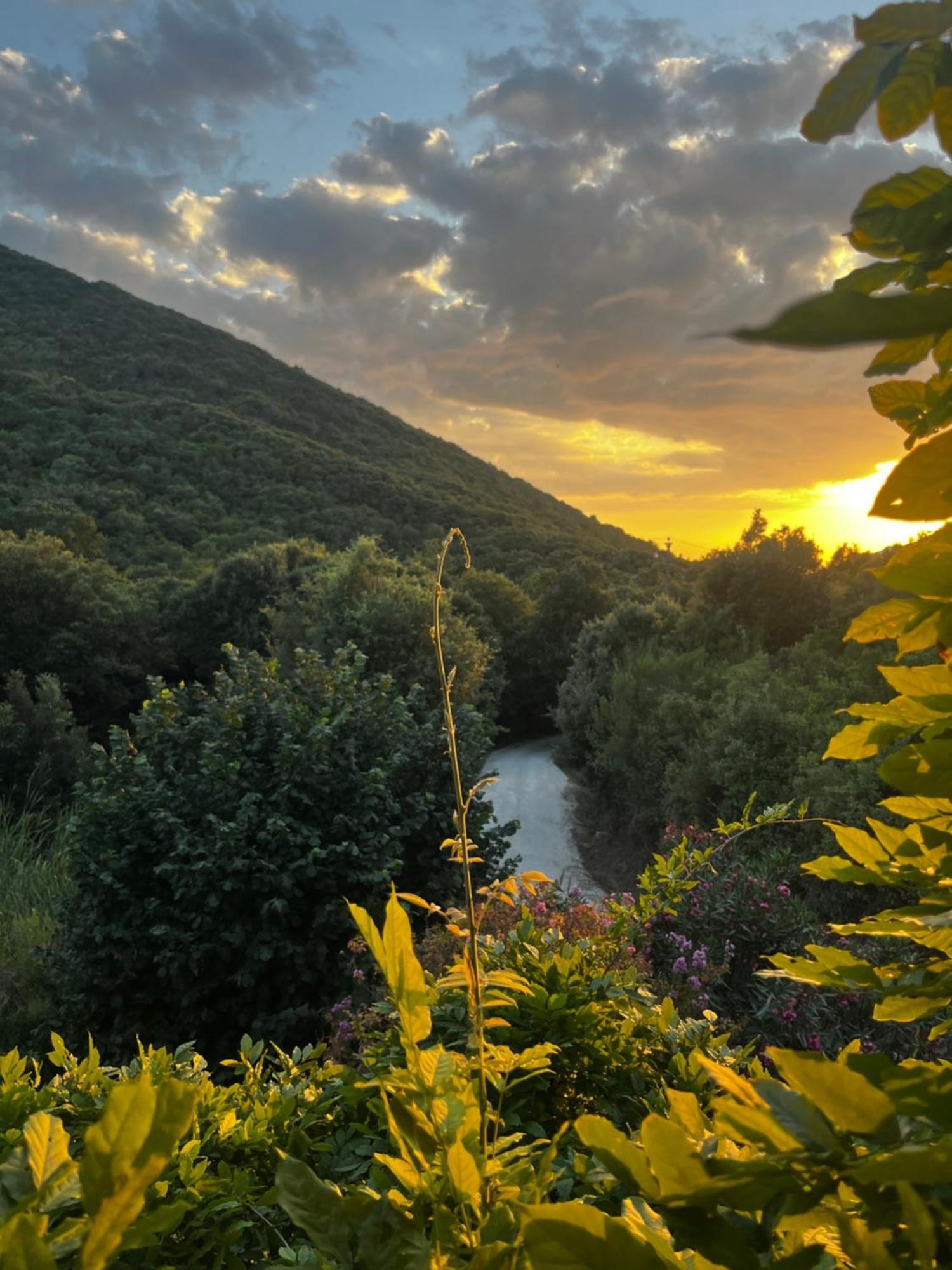 B&B La Fucinaia Pet Friendly Adults Only Campiglia Marittima Zewnętrze zdjęcie