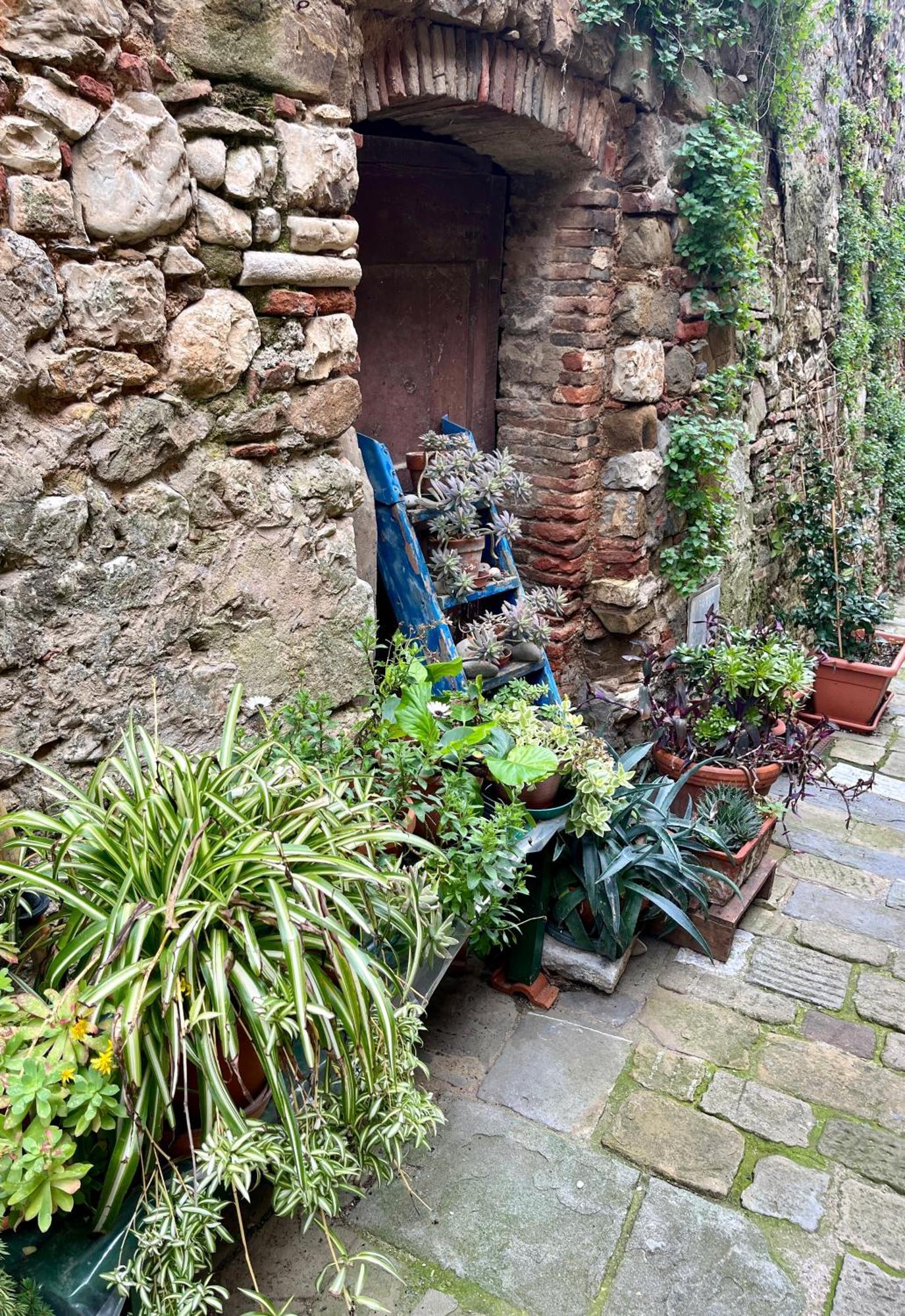 B&B La Fucinaia Pet Friendly Adults Only Campiglia Marittima Zewnętrze zdjęcie