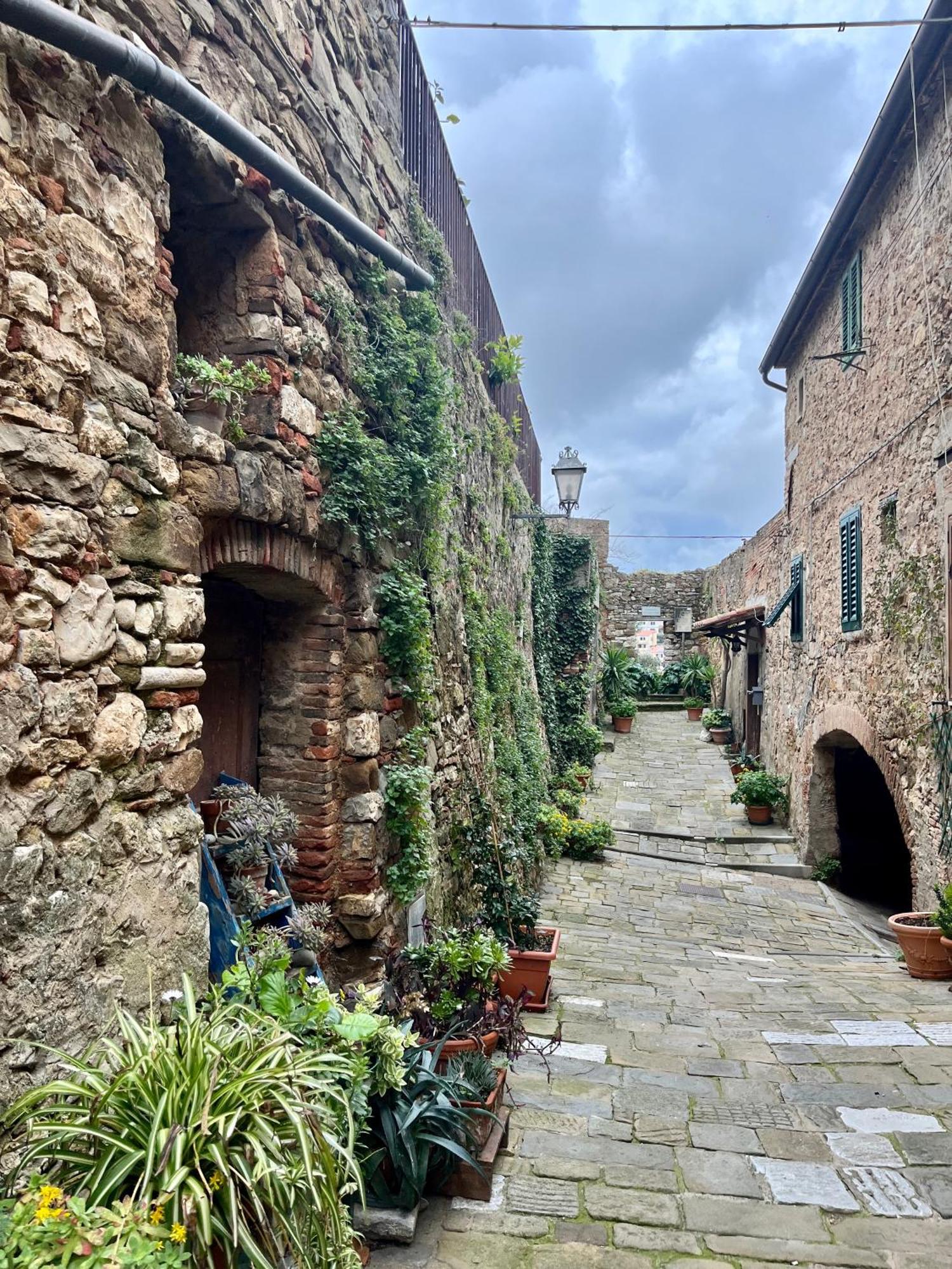 B&B La Fucinaia Pet Friendly Adults Only Campiglia Marittima Zewnętrze zdjęcie