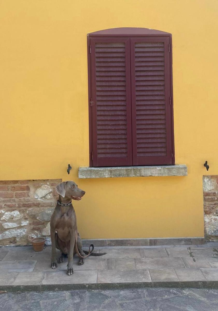 B&B La Fucinaia Pet Friendly Adults Only Campiglia Marittima Zewnętrze zdjęcie