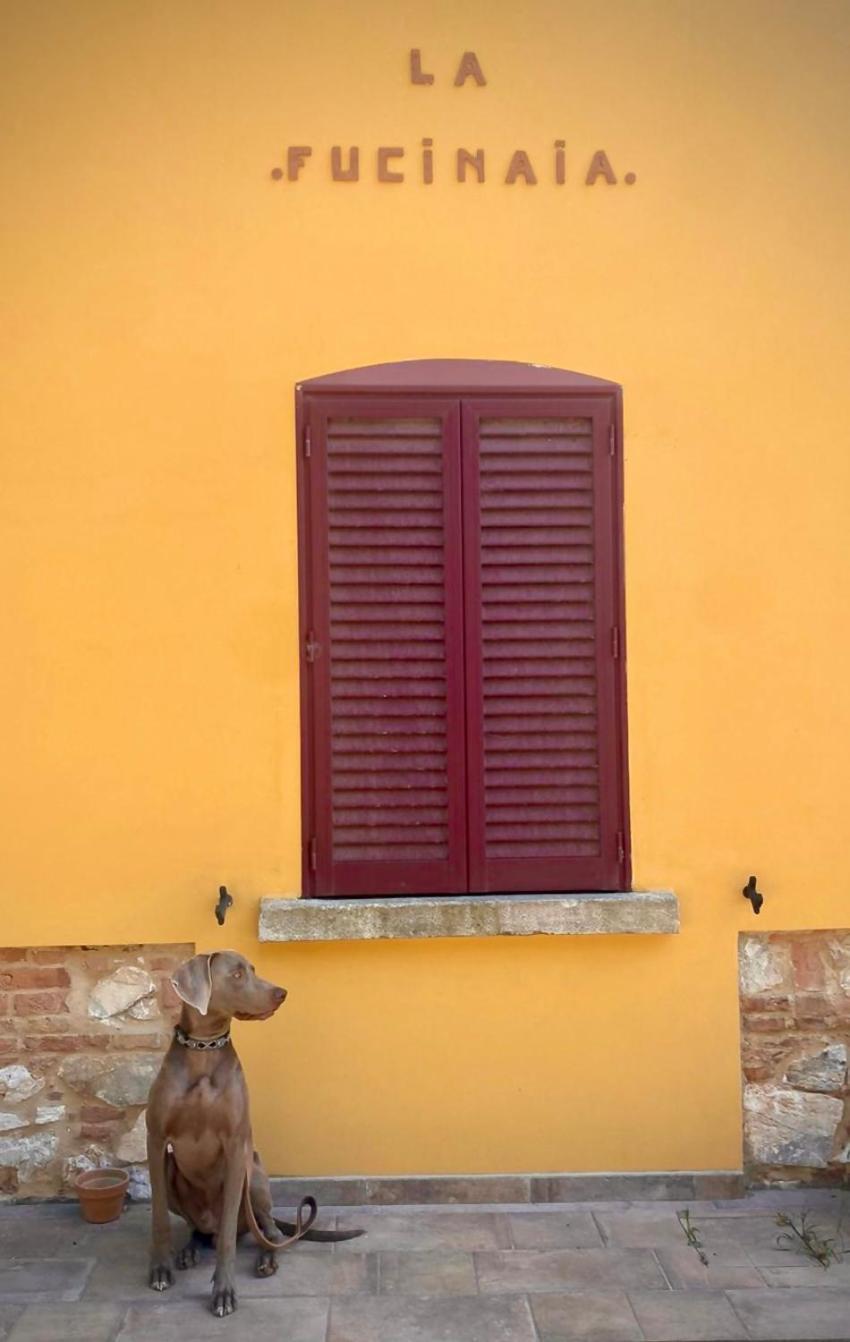 B&B La Fucinaia Pet Friendly Adults Only Campiglia Marittima Zewnętrze zdjęcie