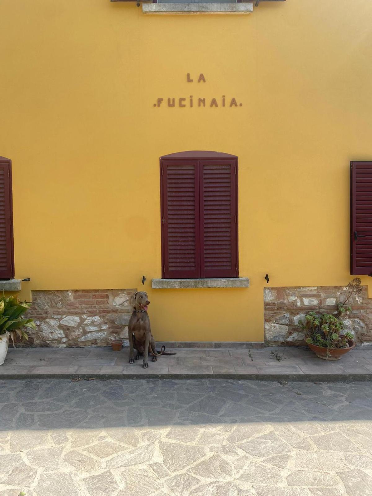 B&B La Fucinaia Pet Friendly Adults Only Campiglia Marittima Zewnętrze zdjęcie